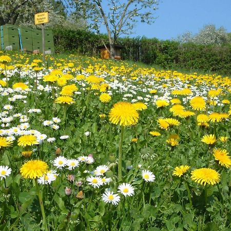 Ferienwohnungen "Allerleigruen" Langenroda ภายนอก รูปภาพ