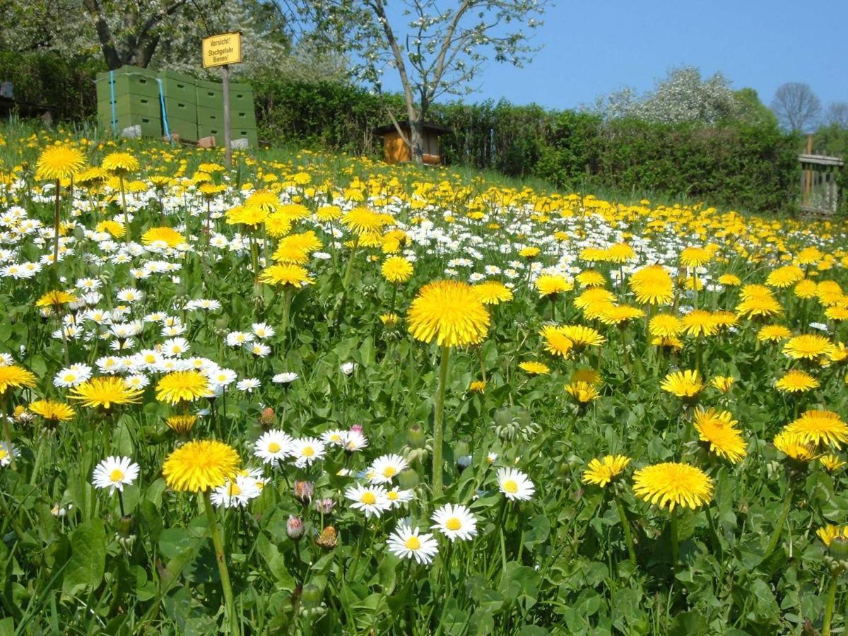 Ferienwohnungen "Allerleigruen" Langenroda ภายนอก รูปภาพ