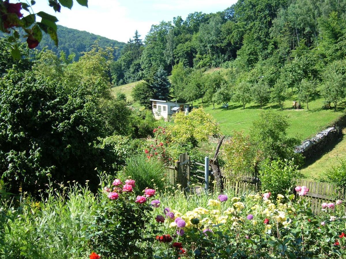 Ferienwohnungen "Allerleigruen" Langenroda ภายนอก รูปภาพ